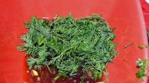 Малосольная горбуша