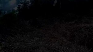 Полноприводный трицикл Васюган 3х3 берег Оби 2wd motorcycle