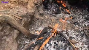 Nomads Making Lunch : Nomads of Iran