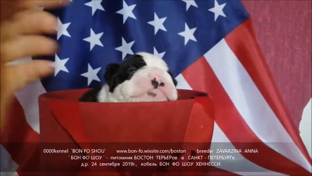 Хеннесси 11 дней смотреть онлайн