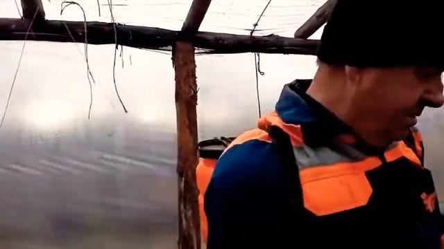 Дезинфекция в теплице #обработкапочвы #опраскиваниетеплицы смотреть онлайн