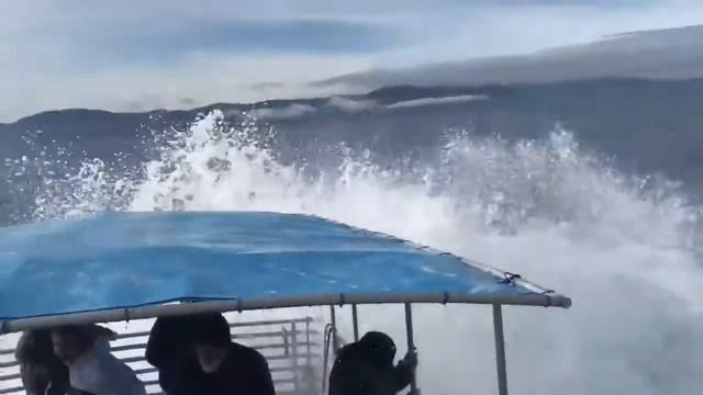 Горбатый кит окатил туристов холодной водой смотреть онлайн