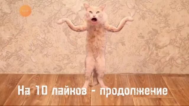 мои лайфхаки на новый год советую всем попробовать #хочувреки  #лайфхак