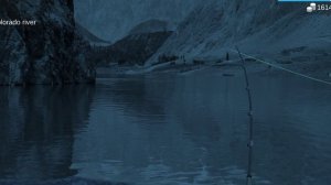 My Fishing World : Судак (Ежедневное Задание, Река Колорадо) #myfishingworld