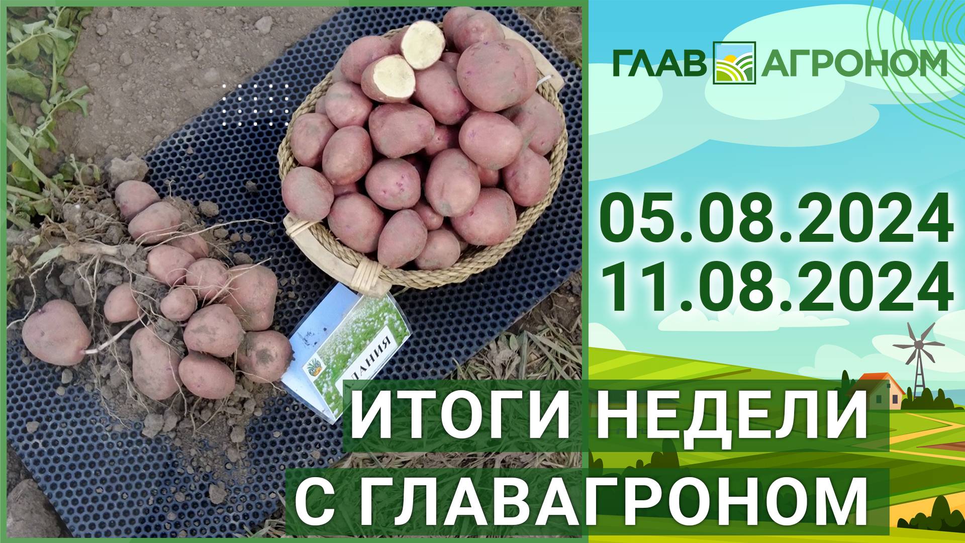 Итоги недели с ГлавАгроном. 05.08.2024 – 11.08.2024. Актуальные и важные новости АПК