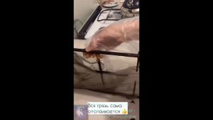 Лайфхак. Как легко почистить плиту.