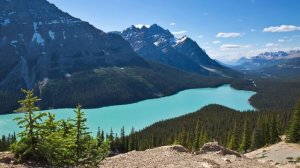 Самое красивое видео в 4к разрешении