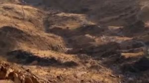 Чего хотел Умар