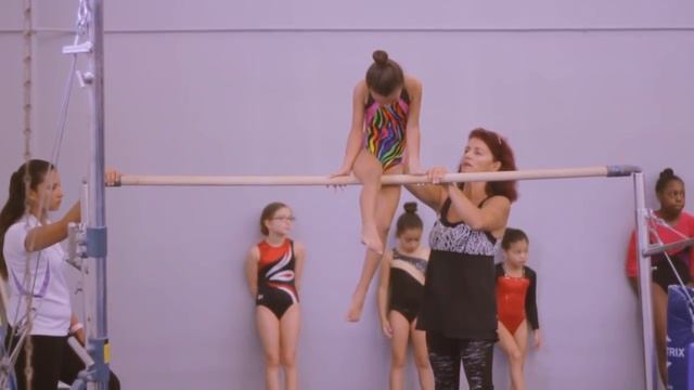 Bars Beginnings | Harmony SGG смотреть онлайн