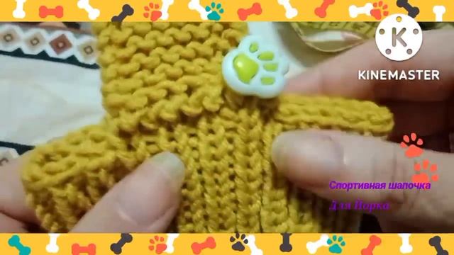 Обзор на спортивную шапочку для Йорка/Приглашаю новичков/Overview of the master class knitting hats смотреть онлайн