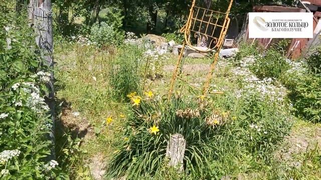 Дачка на участке 8.6 соток со скважиной и электричеством в СНТ Швейник, город Александров
