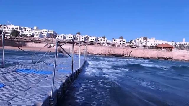 Понтон POINCIANA SHARM RESORT & APARTMENTS 4 и MEXICANA SHARM RESORT 4 смотреть онлайн
