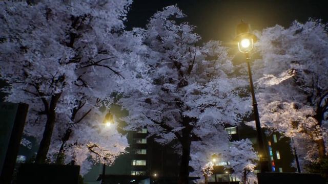 СТОЛБ СВЕТА - Ghostwire Tokyo прохождение Часть 5 | Обзор и геймплей без комментариев