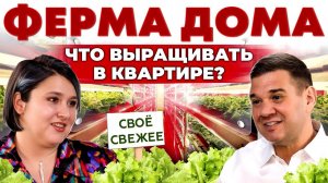 Огород в квартире | Гидропоника или теплица? Как вырастить микрозелень дома | Андрей Даниленко