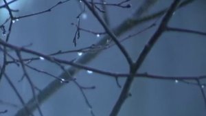 МАКСИМ ГРЕК. Библейский сюжет