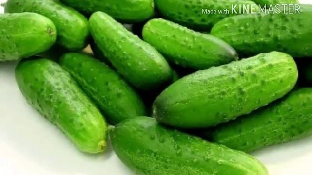 Огурчики| Live nature смотреть онлайн