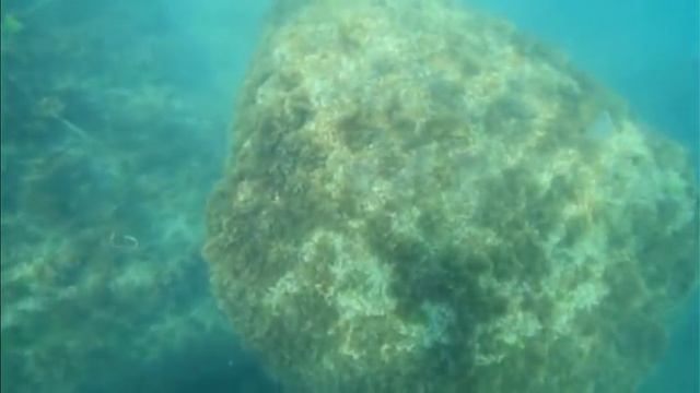 Погружение в Черное море смотреть онлайн