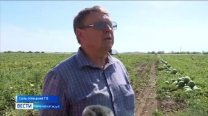 Соль-Илецк Арбузная столица России