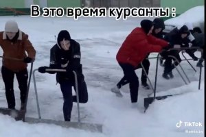 Первый снег приносит смех