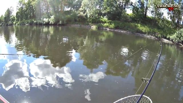 Крупная щука клюнула, когда ее уже не ждали. Ловля щуки на спиннинг.
