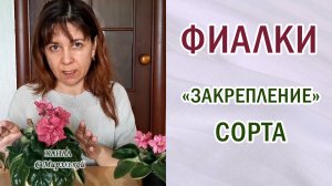 Фиалки из семян. Закрепление сорта. Селекция фиалок. Сеянец номер 601. #фиалки #сенполии #селекция