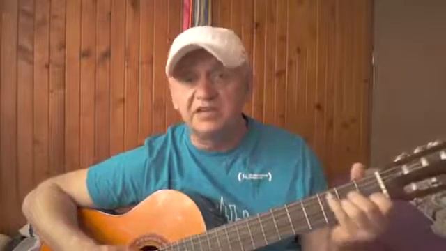 МЫ, жалеем котов, МЫ , жалеем собак, авторская смотреть онлайн