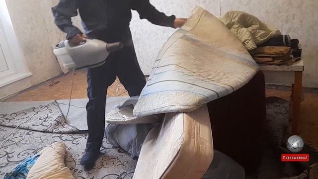 Мастер-класс в Люблино: как обнаружить клопов и как с ними бороться в обычной квартире