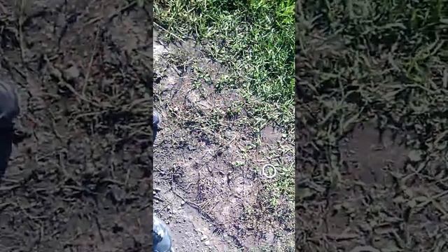 Заброшенная заправка смотреть онлайн