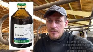 КАК ОНИ ПОПАЛИ В РУБЕЦ ИЛИ ПАРАМФИСТОМАТОЗ КРС И КОЗ