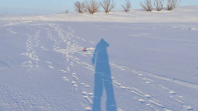 Котельниково 2022 смотреть онлайн