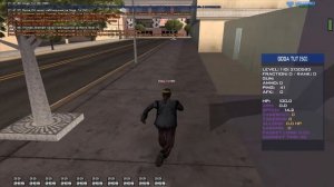 СПАЛИЛ ПРИВАТНОГО БОТА ДЛЯ ЛОВЛИ ДОМОВ НА DIAMOND RP В GTA SAMP!