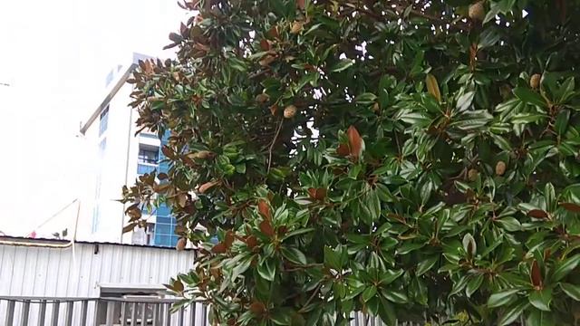 Самый большой бассейн с морской подогретой водой в Адлере. смотреть онлайн