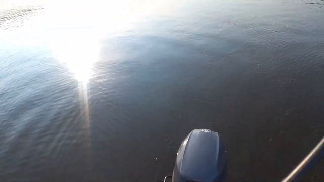 Ловля на троллинг р.Припять смотреть онлайн