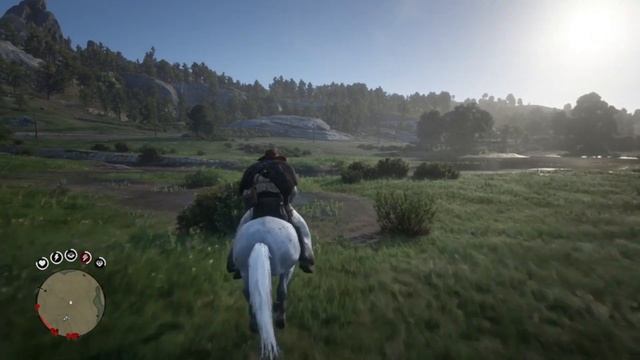 Самая редкая новая лошадь в RDR 2 | Аппалуза малопятнистая