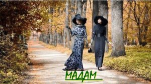 МАДАМ! ДЕРЖИТЕ ВЕРТИКАЛЬ!