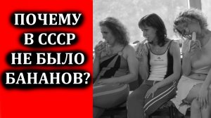 Почему в СССР не было бананов? Когда появились бананы в СССР и сколько стоили?