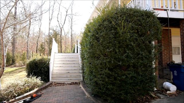 Package Contents and Video Review of Black and Decker Pole Trimmer смотреть онлайн