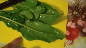 Суп "Ботвинник"