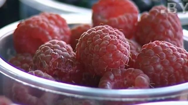 CTV.BY: Пришла пора грибная: как правильно собрать и выбрать грибы? смотреть онлайн