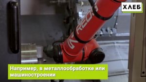 В России планируют создать производство роботов-манипуляторов