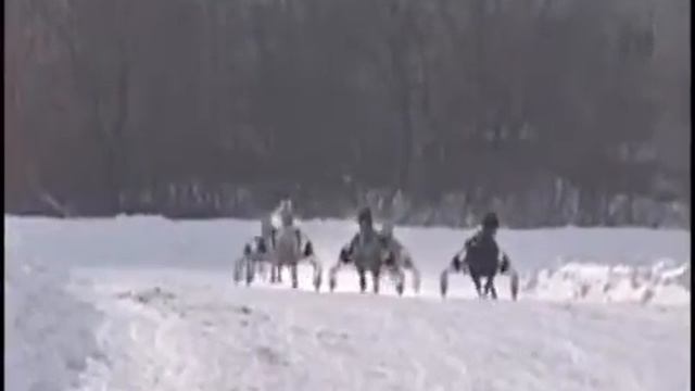 Орловский рысак достояние России смотреть онлайн