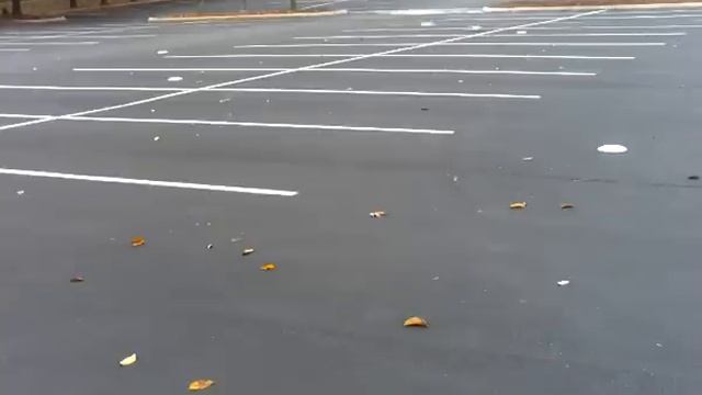 Team Losi 1/10 XXX-S Brushless R/C 40mph + Lipo смотреть онлайн