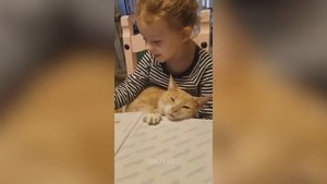 Забавные животные№105