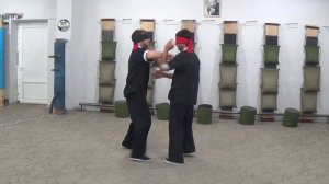 Армения Винг Тсун Федерация (AWTF), Chi Sao, Чи сао(липкие руки), 2 Closed Eyes, Мастер О. Мушегян