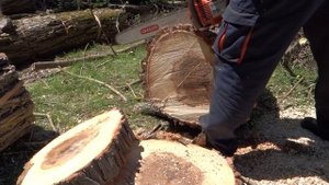 Stihl MS 260 vs Husqvarna 55 - lišta 50cm 3/8 vs 45cm 325 - Chainsaw test, bar length 50cm and 45cm