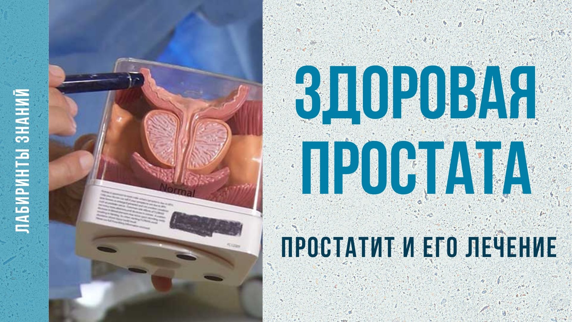 Здоровая простата _ простатит и его лечение - Лабиринты Знаний.mp4