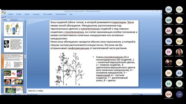 Ботаника с Владимиром Павловичем лекция 24 11 2021 Темы: формула цветка, морфология соцветий