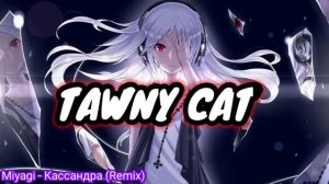 Микс ~ Miyagi - Кассандра (Remix) 🤤 Музыка на любой вкусс