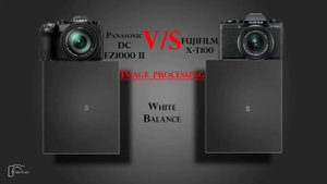 Panasonic Lumix DC FZ1000 II vs FUJIFILM X T100