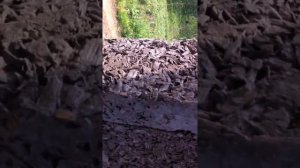 арболит, дом из арболита часть 1 иркутск